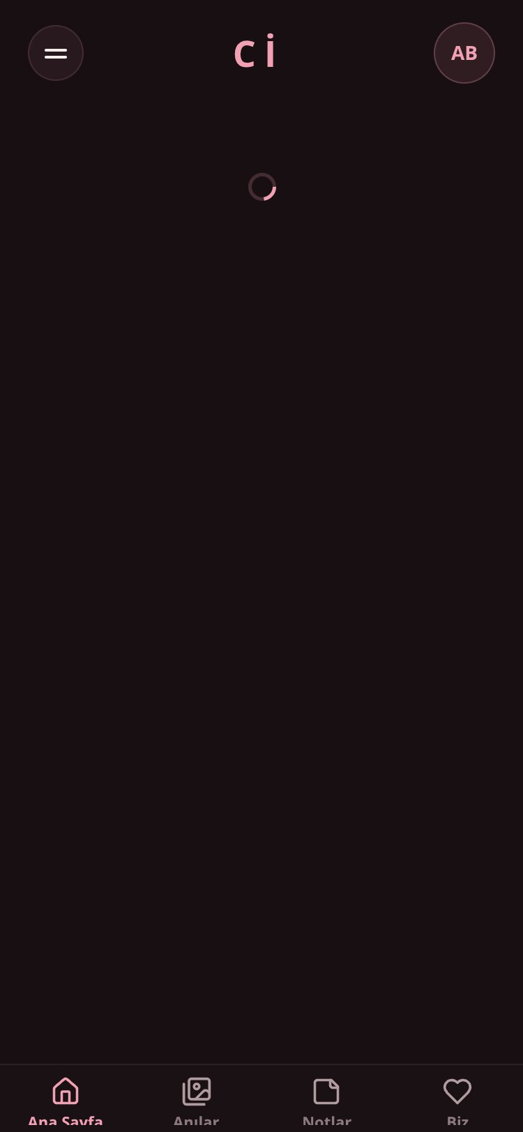 Cİ screen 2