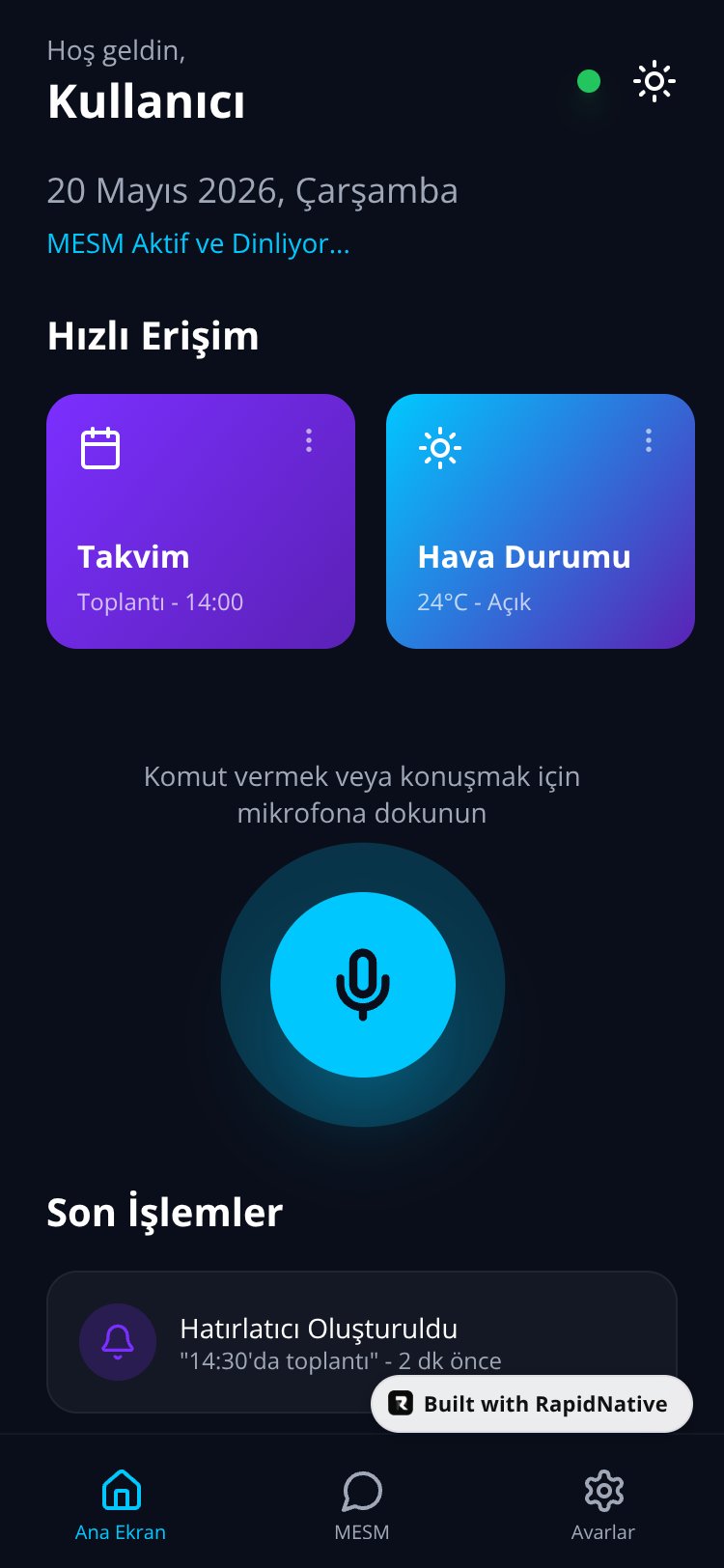 MESM AI screen 1