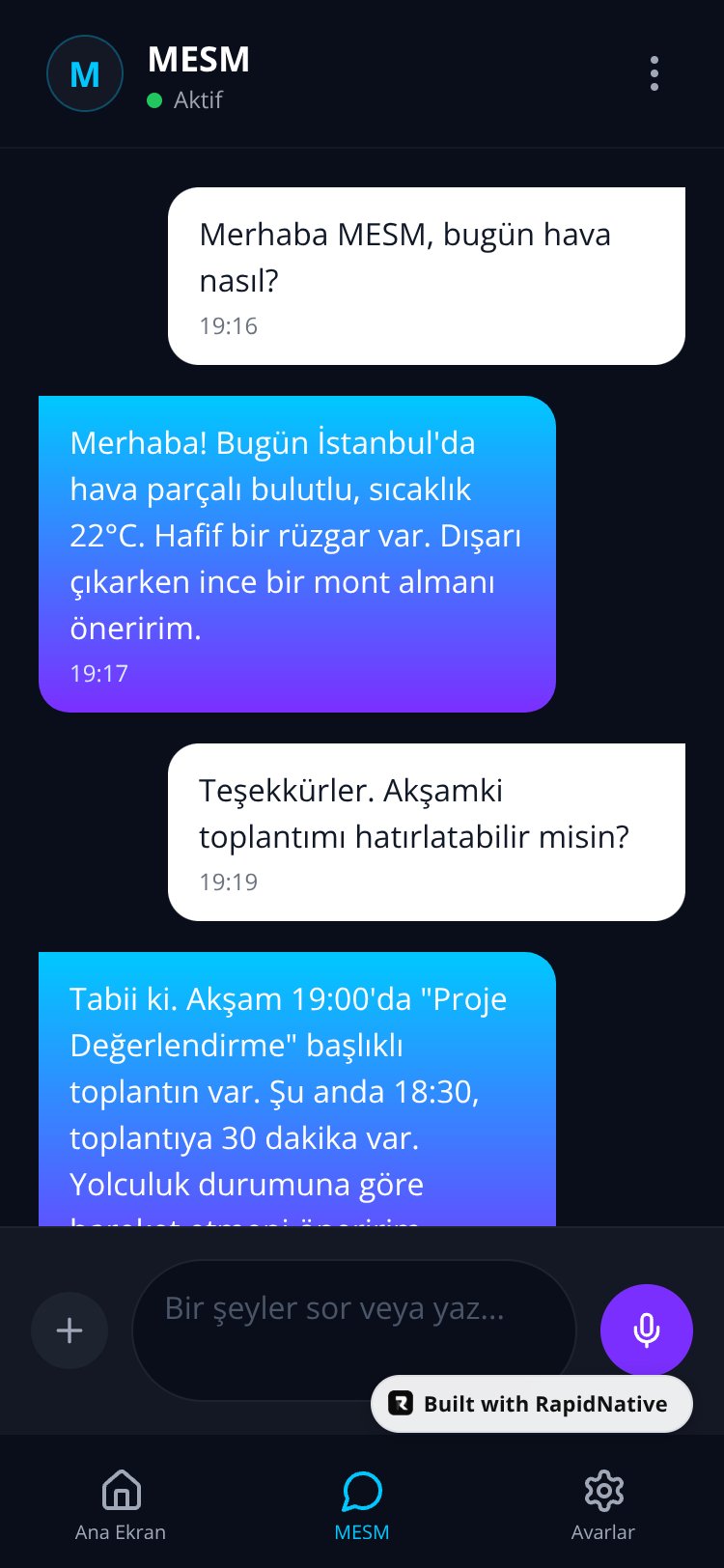 MESM AI screen 4