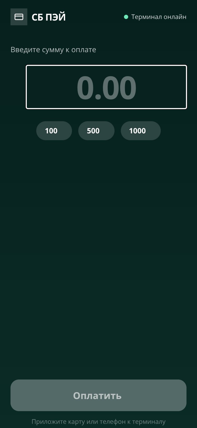 СБ ПЭЙ screen 2