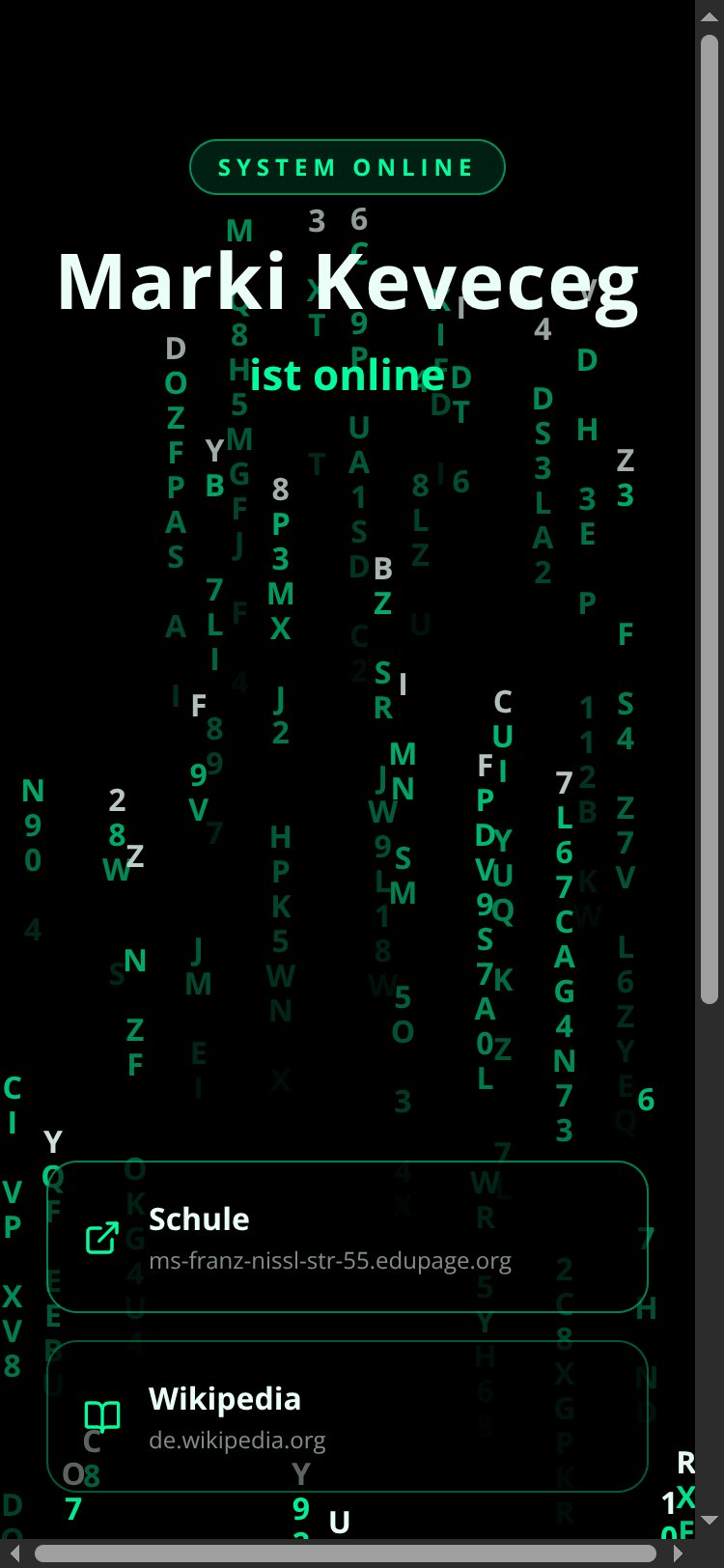 Matrix Rain screen 1