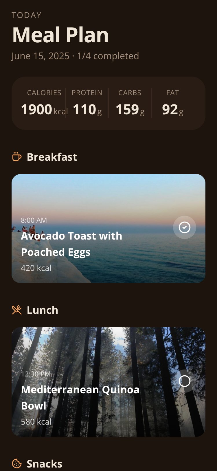 Daily Meal Plan screen 2