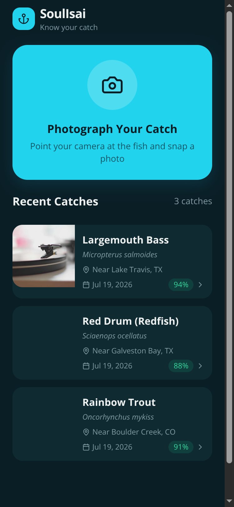 ReelID screen 2