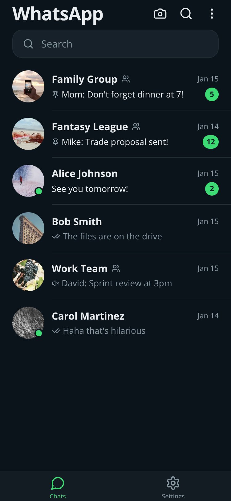WhatsApp screen 2