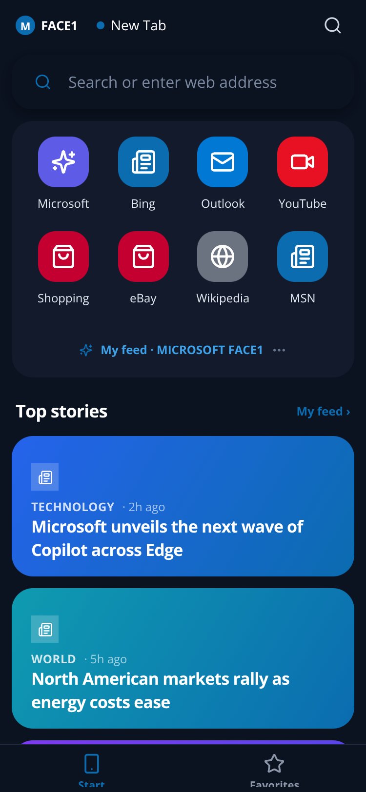 MICROSOFT FACE1 screen 1