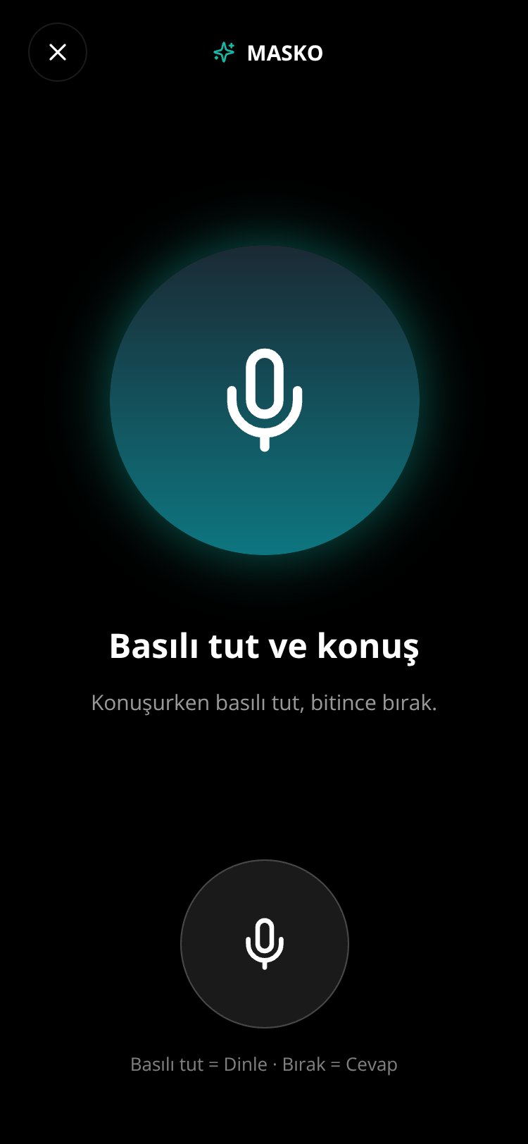 MASKO screen 2