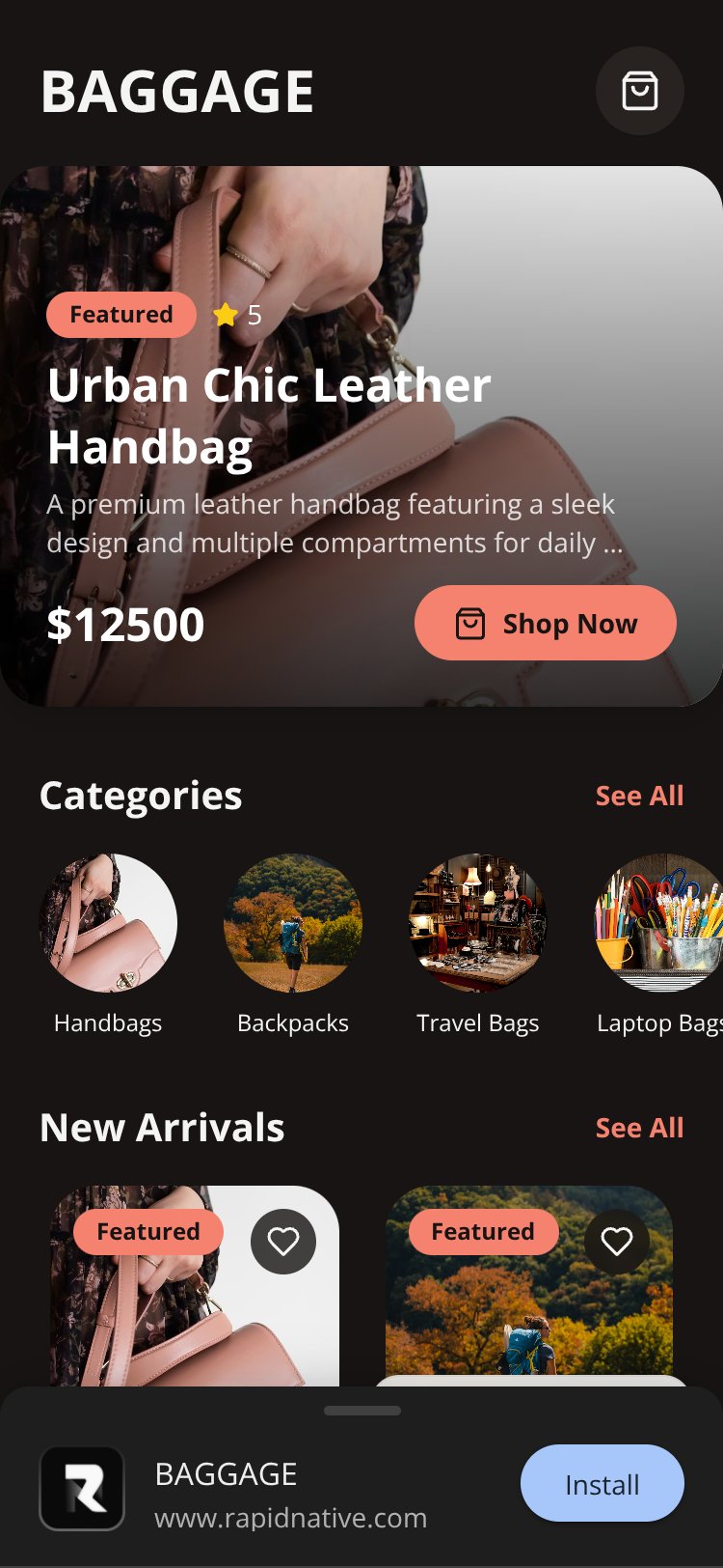 BAGGAGE screen 3