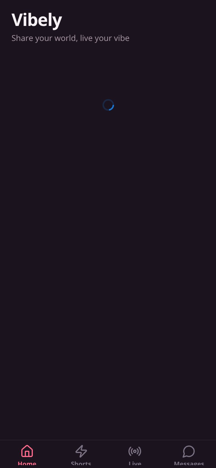 Vibely screen 4