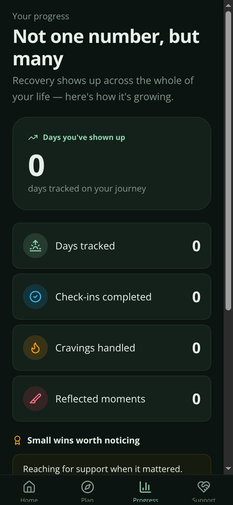 Recovery Companion screen 3