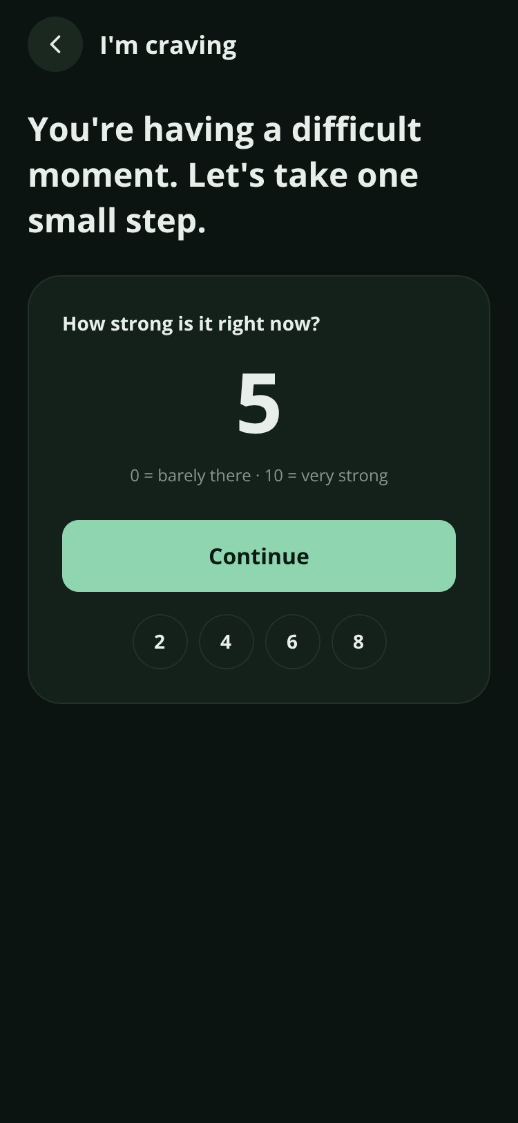 Recovery Companion screen 5