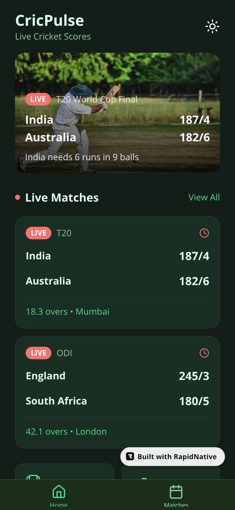 CricPulse screen 1
