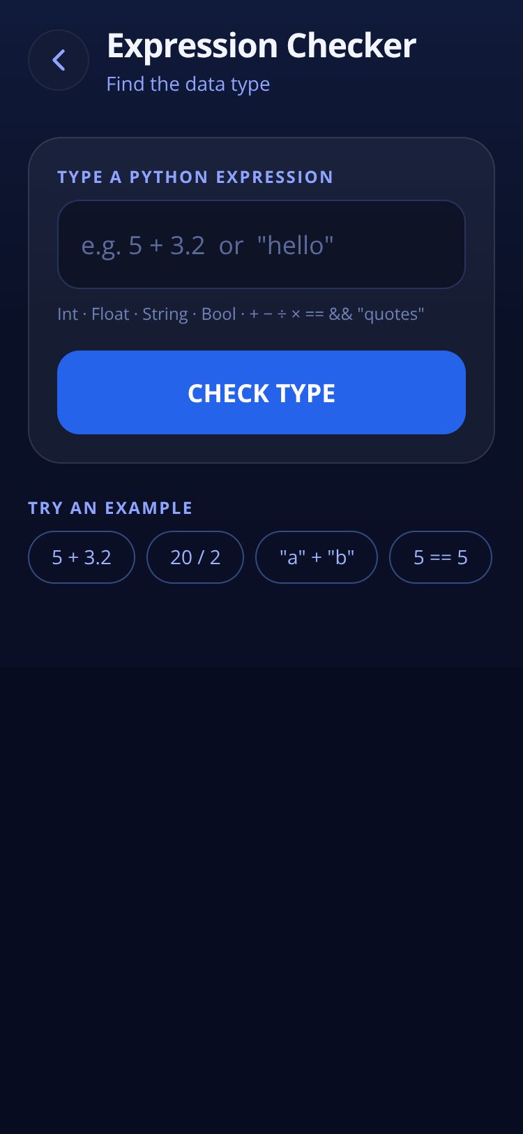Python AI Type Checker screen 4