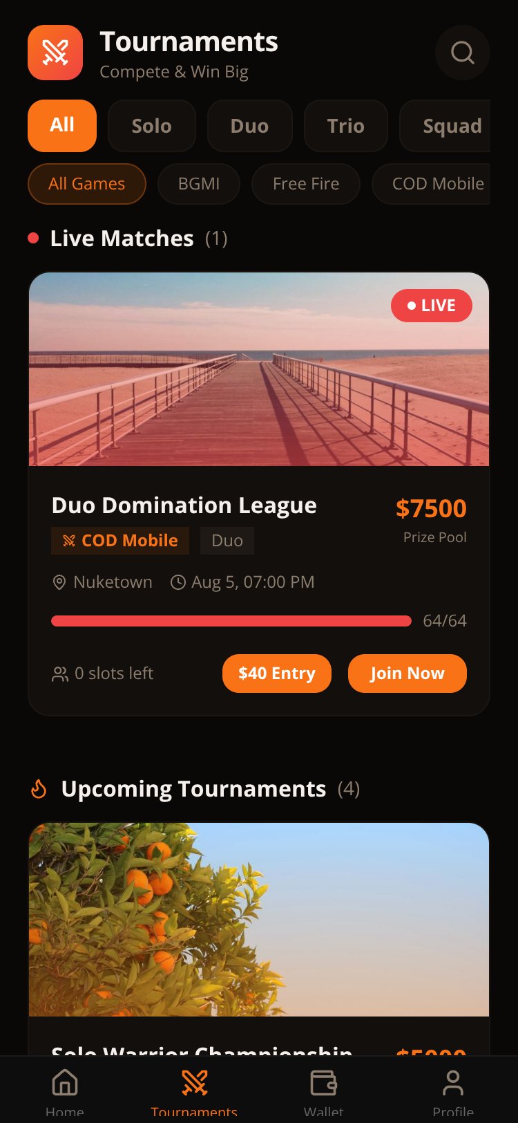 Phoenix Esports Hub screen 1