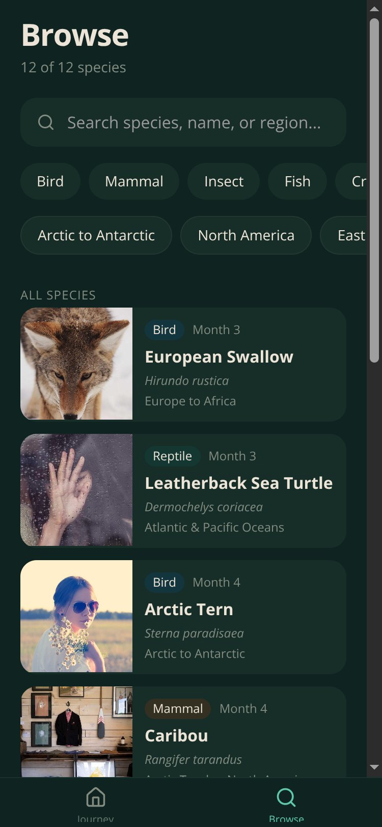 Migratory Year screen 1
