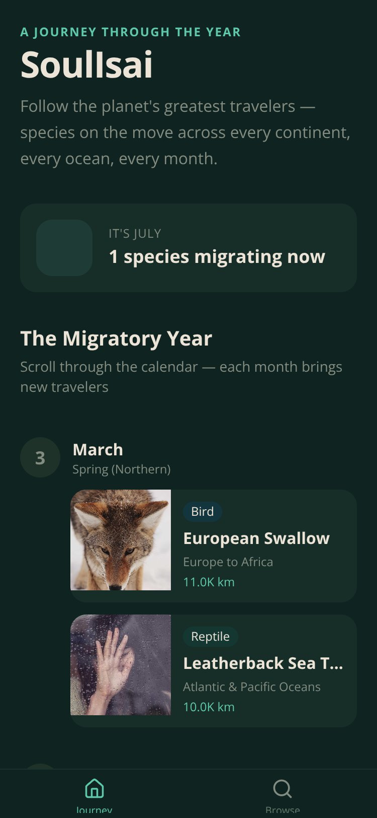 Migratory Year screen 2
