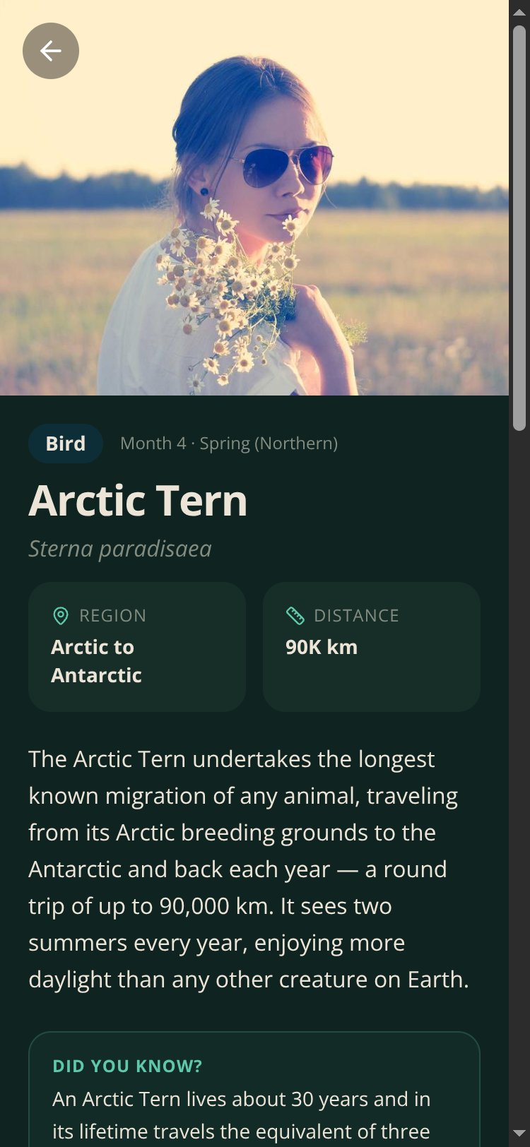 Migratory Year screen 3
