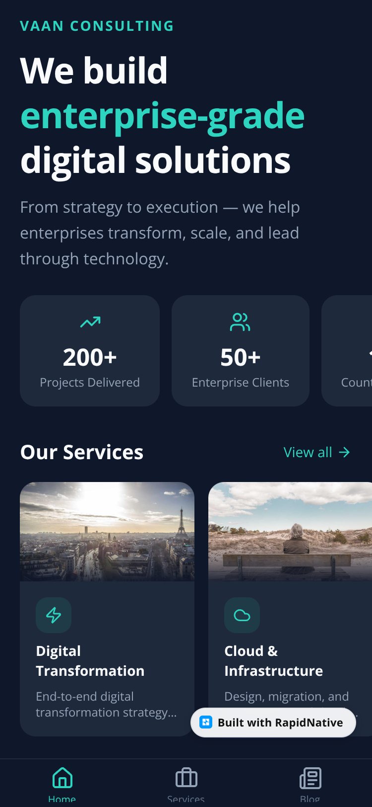 Vaan Consulting screen 2