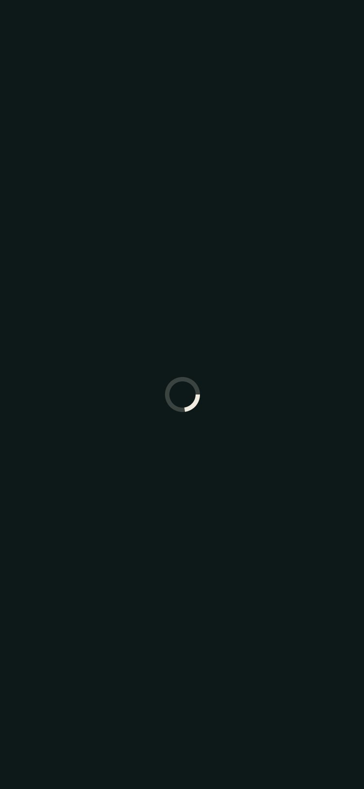 OptiRute screen 1