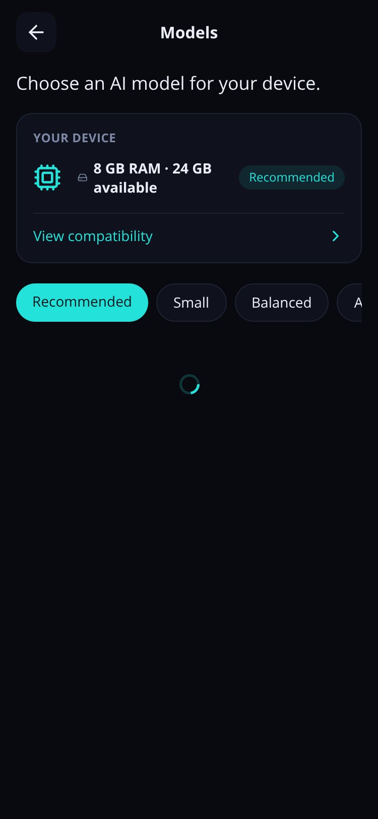 Local AI screen 4