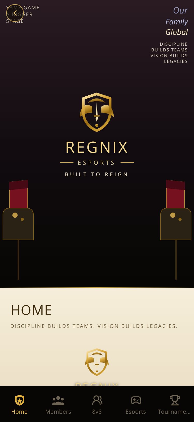 REGNIX Esports screen 3
