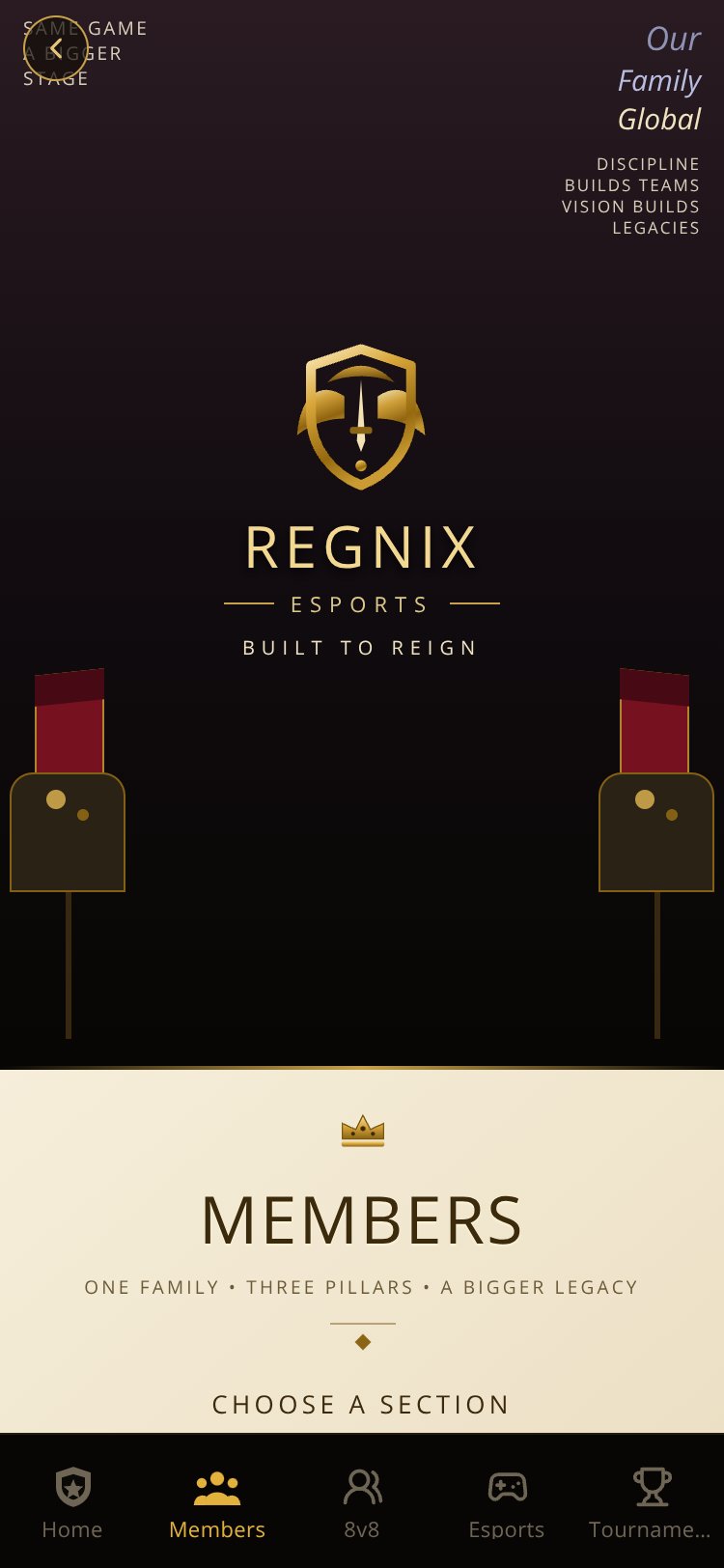 REGNIX Esports screen 5