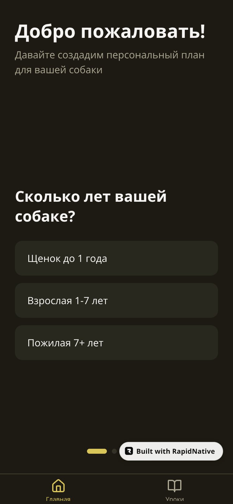 RapidNative App screen 3