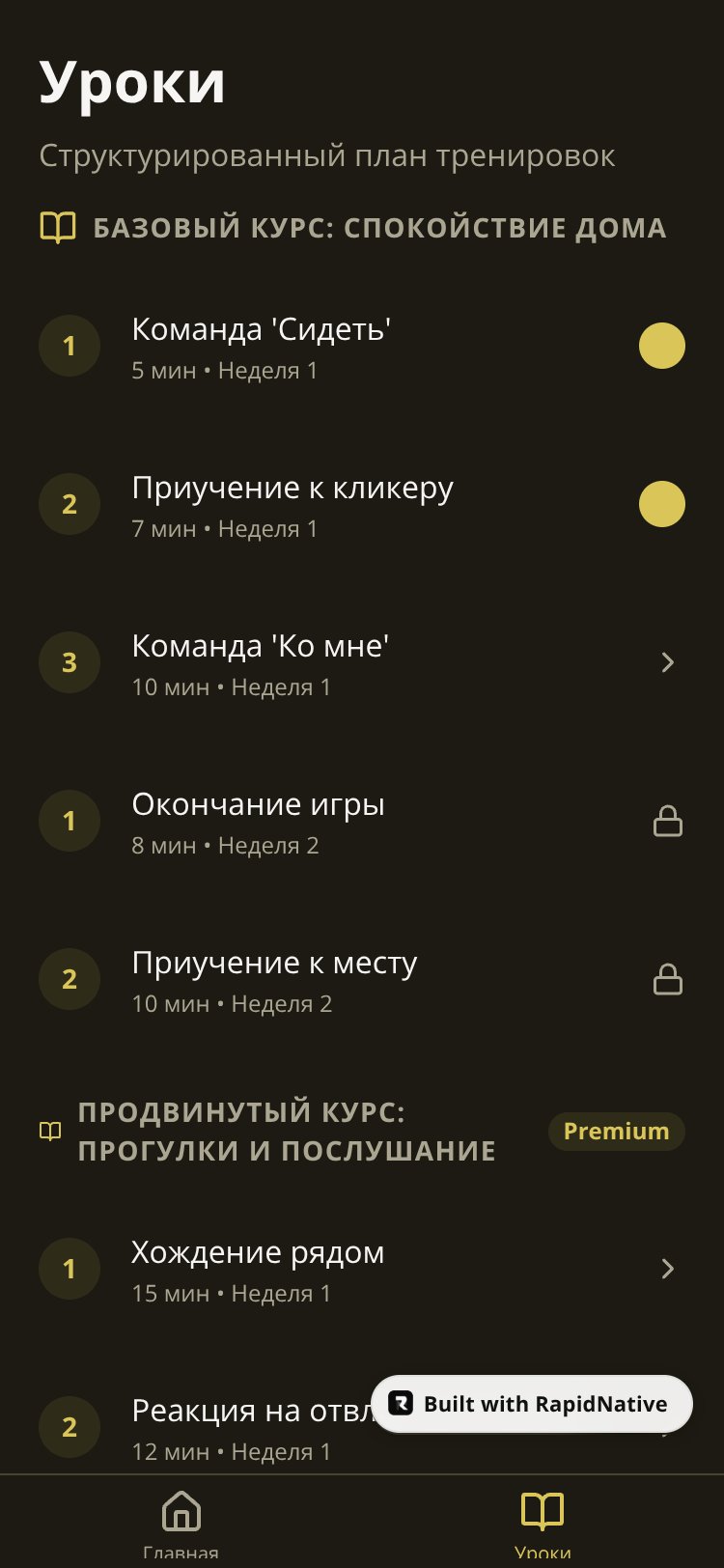 RapidNative App screen 4