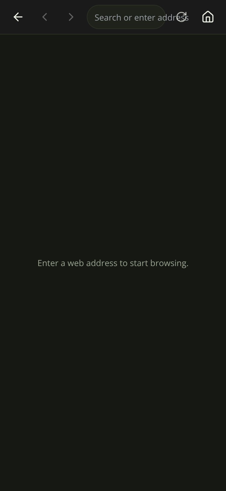 Kiwi Browser screen 1
