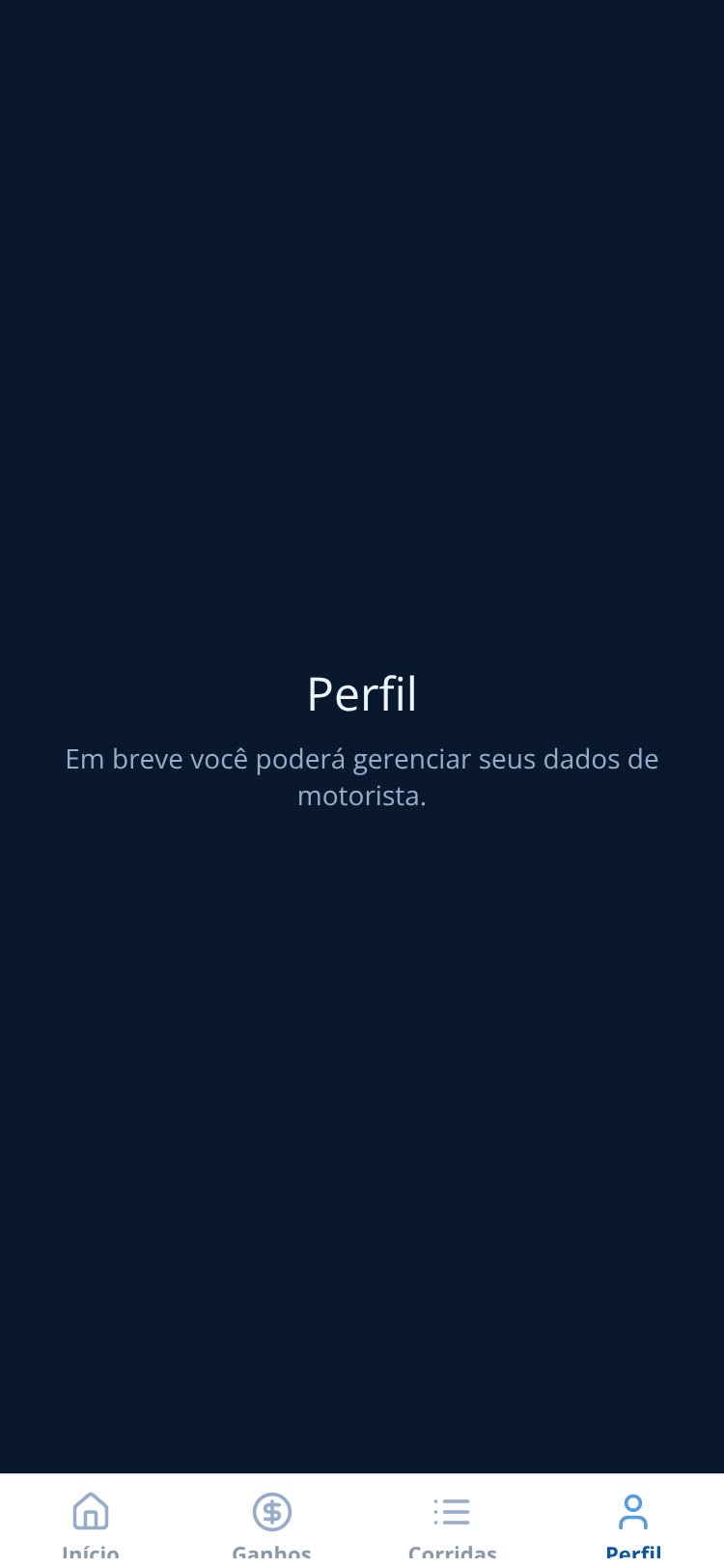 Brax Driver screen 2