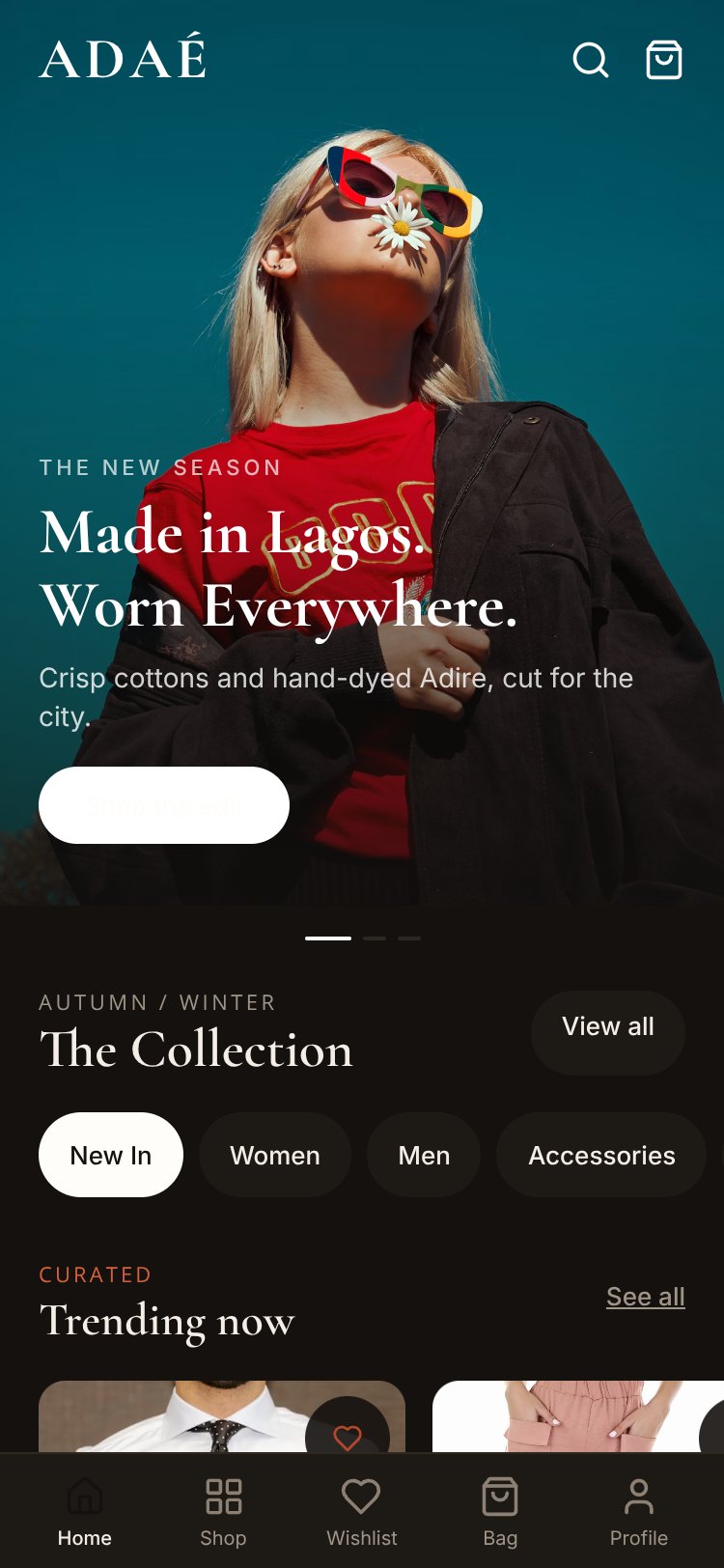 ADAÉ screen 5